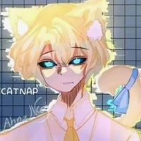😭catnat😭