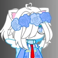 Aizuma ( T/g )