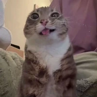 Mồm lèo