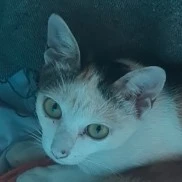 Linh(lớp trưởng)