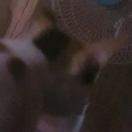 Yến(học sinh mới)