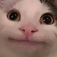 cò lèo