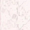 nhân vật phụ và (bí ẩn)