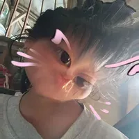 tung tung meo meo