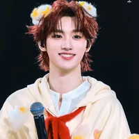 Đinh Trình Hâm