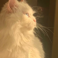 Tác giả cute🥰😝🤗