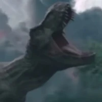 cân tất cả n.vật