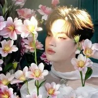 Nguyễn Thanh Pháp(Pháp Kiều)