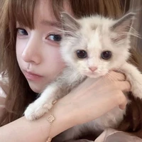 Diệp Vãn Đường