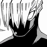 shoji mezo