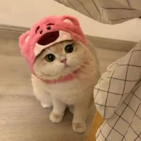 𝙼𝚘𝚘𝚗 ​᭄﹏☘︎