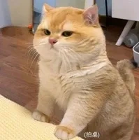 all top trừ ai thì trừ