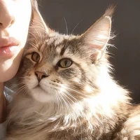 ⋆｡˚୨ Cat ୧˚｡⋆