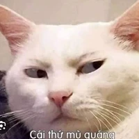 t/g ngầu lồi😛💥