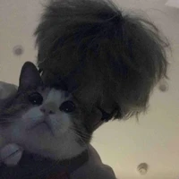 Nguyễn Việt Hoàng