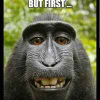 Tác giả bị bắt cóc