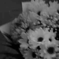 ._Cân Mọi Nhân Vật [ Nam lẫn Nữ ]_.