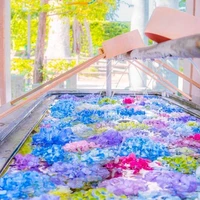 tg(thích vẽ tặng đ/g)