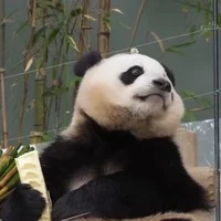 All (trừ ai thì trừ)