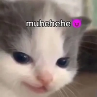 all(trừ ai thì trừ)