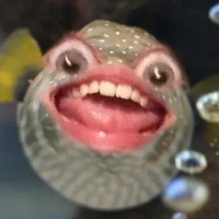 🐟 (t/g)
