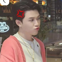 Bùi Anh Tú - Anh Tú Atus