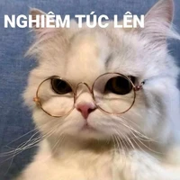 t/g