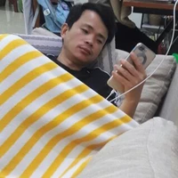 Bố