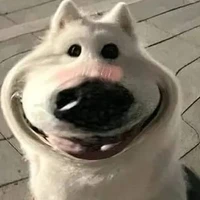 Dương Tâm Đức (9)