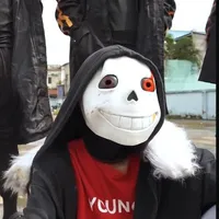 sans fell