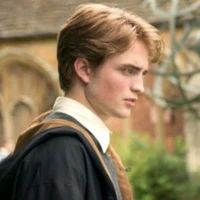 Cedric diggory "cục bột"