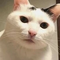 bắt cóc