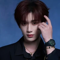 Đinh Trình Hâm