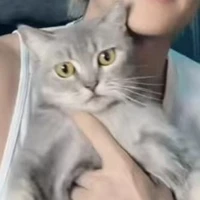 ly
