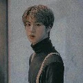 KIM SEOK JIN
