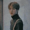 KIM SEOK JIN