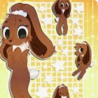 Cocoa🍫