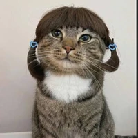 Hệ thống slay 💅