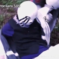 Error Sans 505