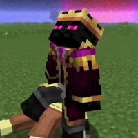 ender boi
