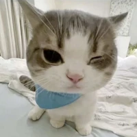 Dika