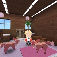 nvc
