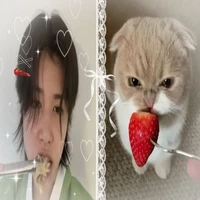 ebetgcutiiduohyuis