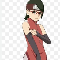 sarada(nt)