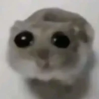 hệ thống báo nhất quả đất