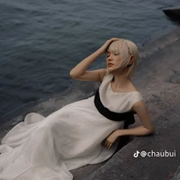 Bùi Thái Bảo châu