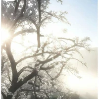 Clb Kịch-@Clbkich_cte