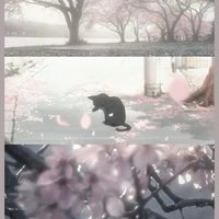 MegaSmpp_School-@Megasmpschooldayy