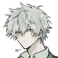 Touya Todoroki