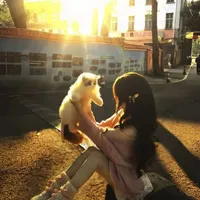 Nguyễn Hoàng Tú Anh